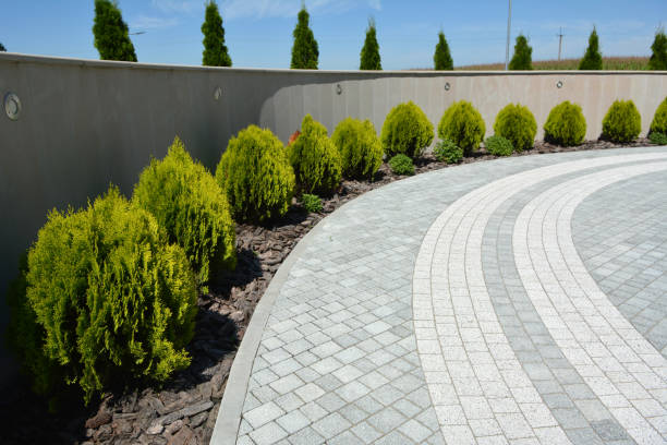 Best Brick Paver Driveways in Morrisonvle, IL